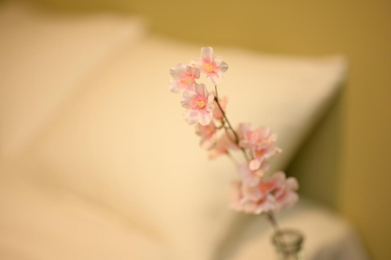 Nijo Kikyo-Tei Villa Kyoto Exteriör bild